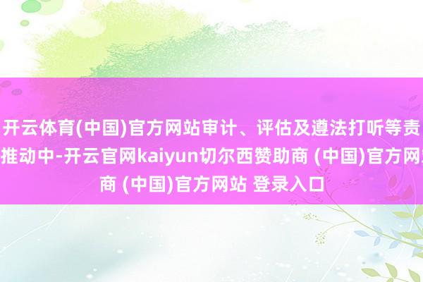开云体育(中国)官方网站审计、评估及遵法打听等责任正在有序推动中-开云官网kaiyun切尔西赞助商 (中国)官方网站 登录入口