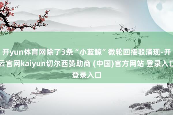 开yun体育网除了3条“小蓝鲸”微轮回接驳涌现-开云官网kaiyun切尔西赞助商 (中国)官方网站 登录入口